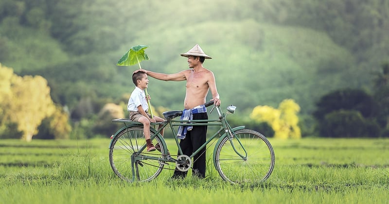 Guide complet de la parentalité : repères, éducation et vie de famille