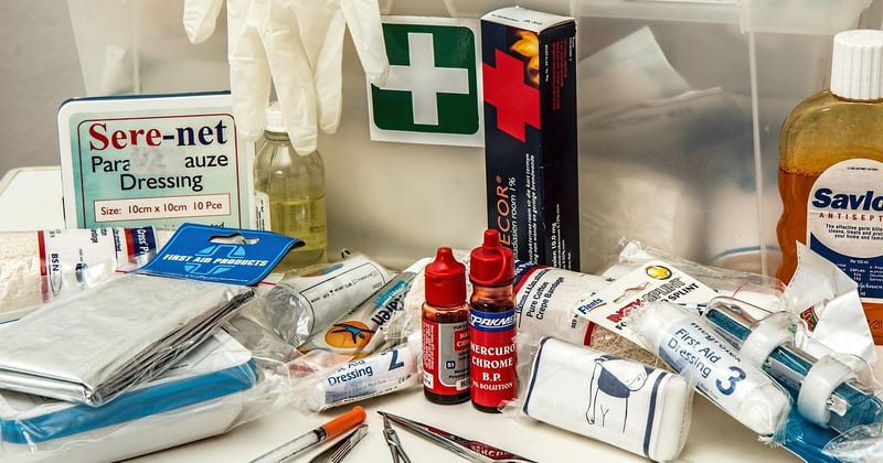 Les gestes de premiers secours à connaître pour un chat qui sauvent des vies