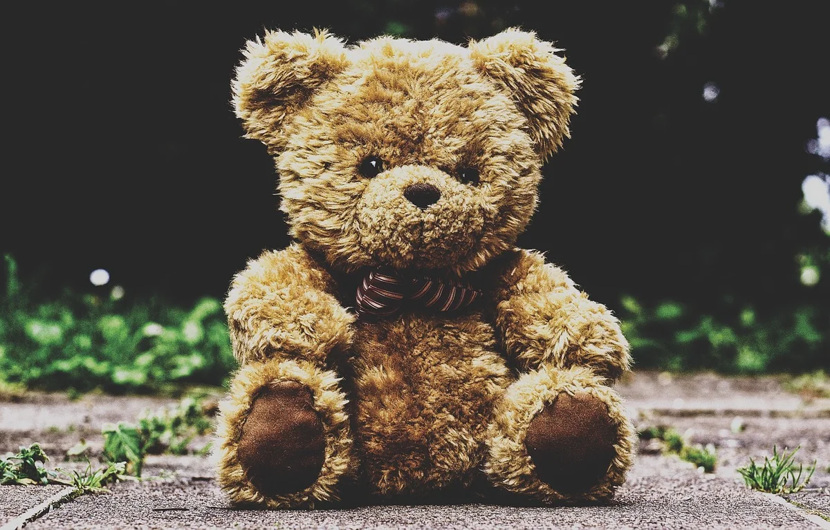 Les tendances 2026 des prénoms pour peluche